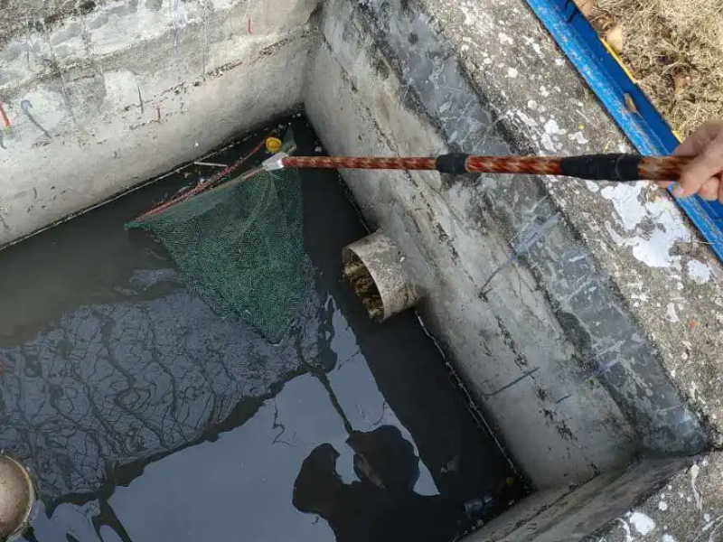 青浦区盈港东路雨水管道堵塞疏通化粪池隔油池清理疏通
